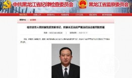 黑哥每日爆料热点事件 明星照片,明星照片曝光，热点事件再掀波澜！”