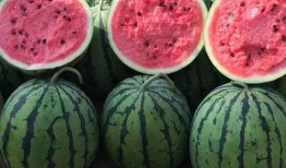 吃瓜网官网免费观看,热门剧集一网打尽！